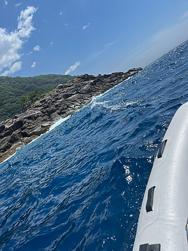 アカハタの釣果