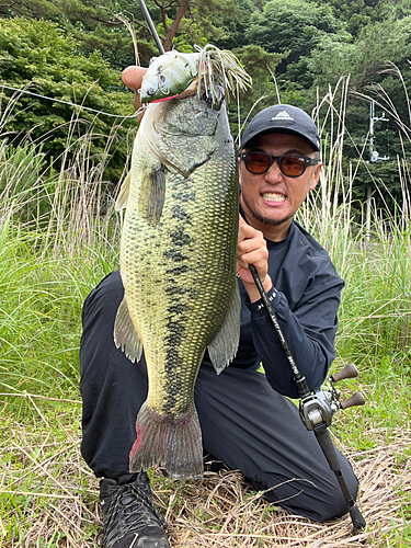 ブラックバスの釣果