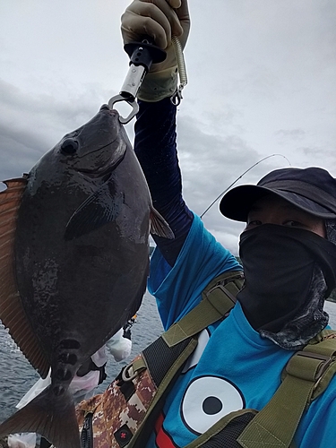 サンノジの釣果