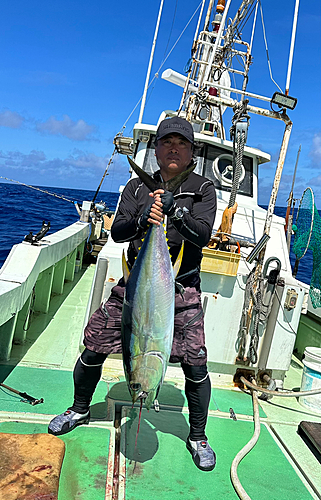 キハダマグロの釣果