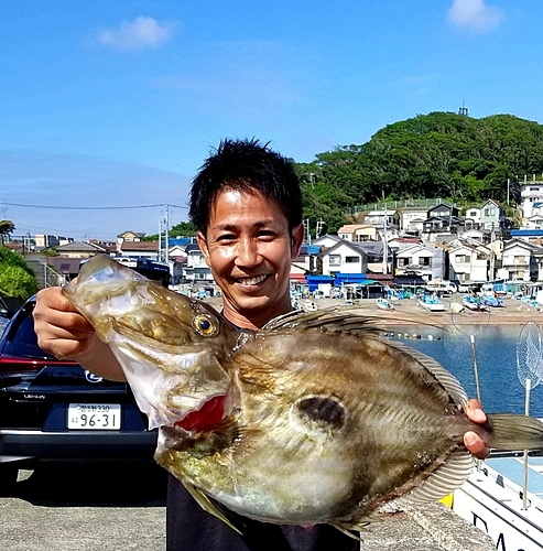 マトウダイの釣果