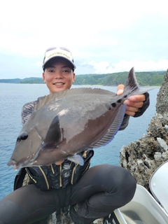 サンノジの釣果