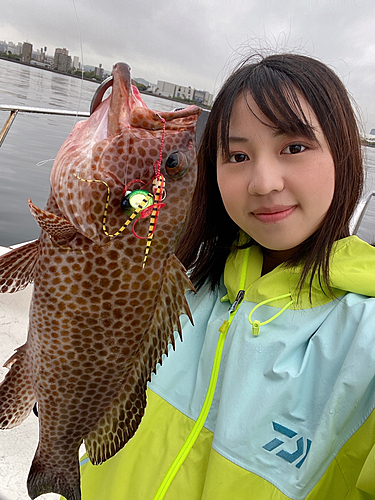 オオモンハタの釣果