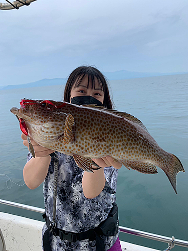 オオモンハタの釣果