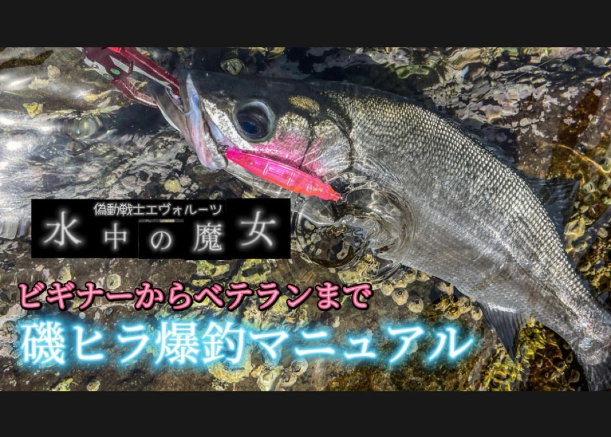 アマソニキ(阿萬慎市)さんの釣果 2枚目の画像
