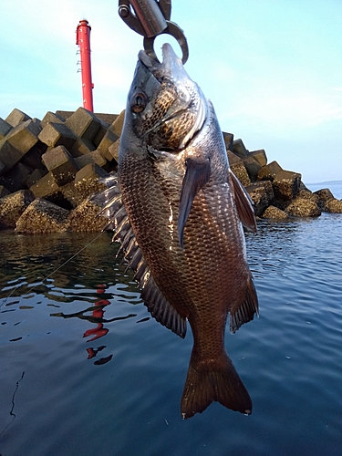 釣果