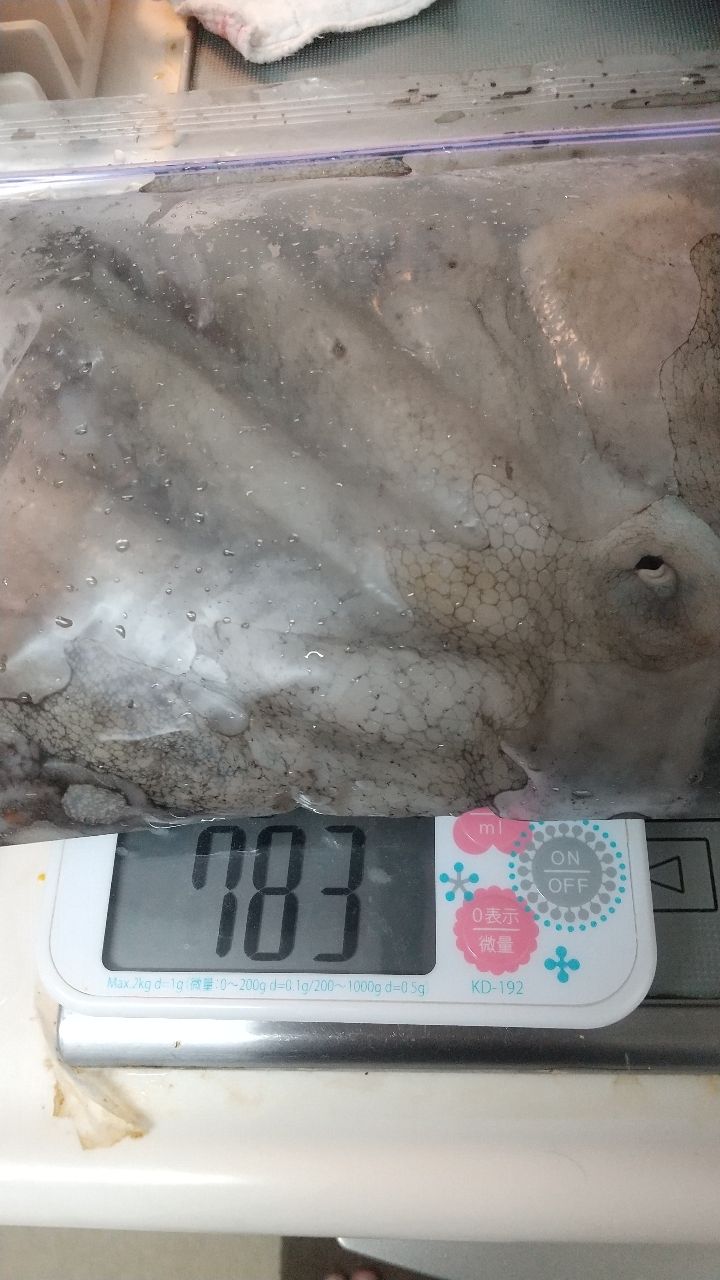 熊野Poohさんの釣果 3枚目の画像