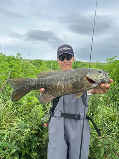 スモールマウスバスの釣果