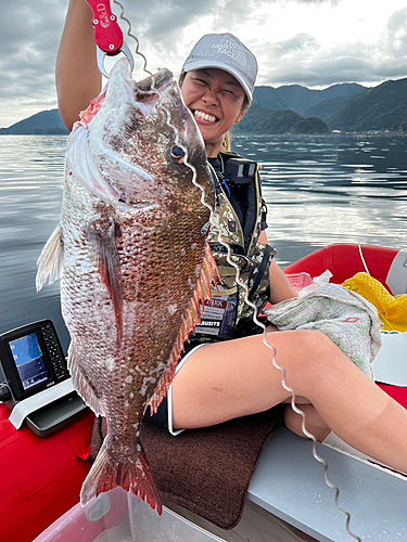 サバの釣果