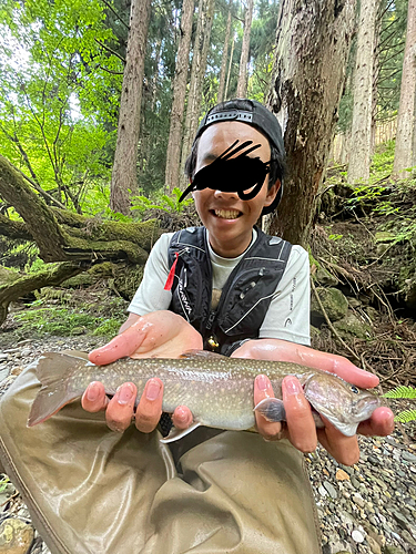 イワナの釣果