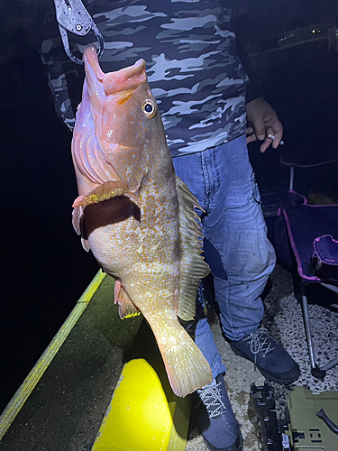 釣り好きおじさんです🎣 さんの釣り人プロフィール - アングラーズ