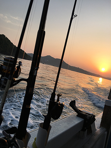 タイの釣果