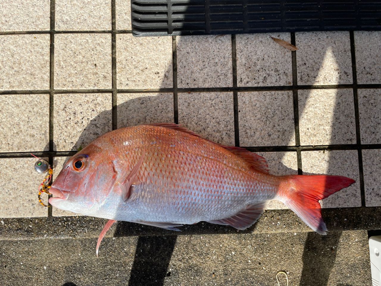 オーシャンフィールド タイラバ OFTC-692LS-80 Abu Garcia ○アブガルシア Abu OCEANFIELD オーシャン