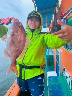 マダイの釣果