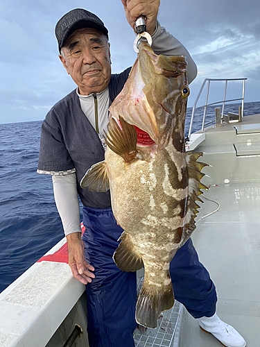 クエの釣果