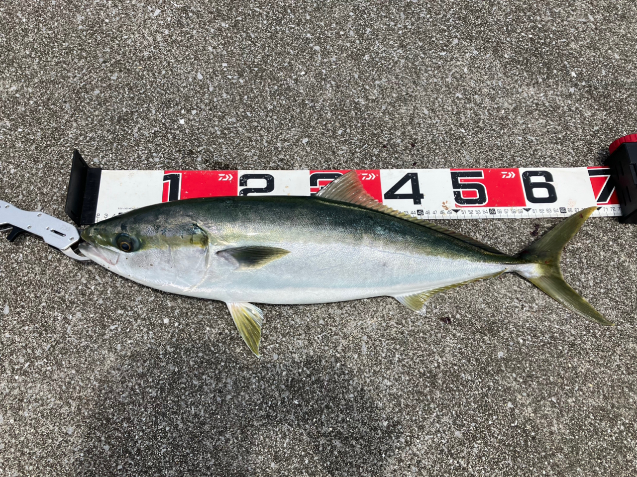 DAIWA 17ショアスパルタン スタンダード 106MHの最安値