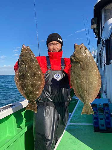 ヒラメの釣果