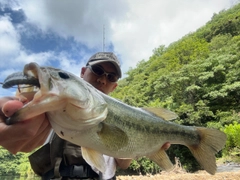 ブラックバスの釣果