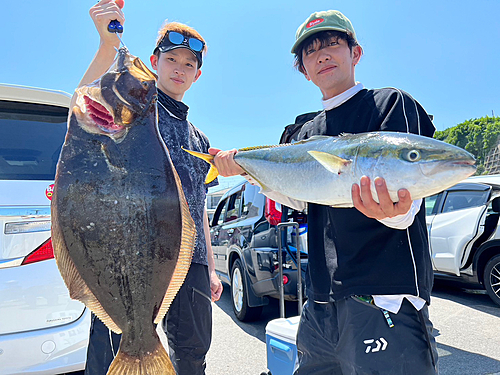 ワラサの釣果