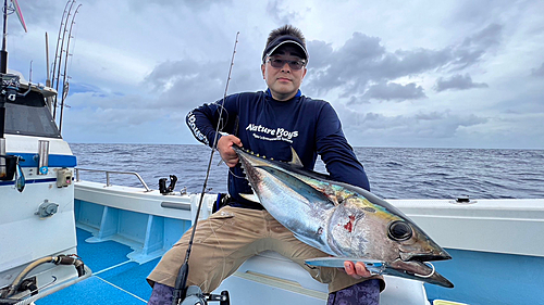 キハダマグロの釣果