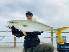 メジロの釣果