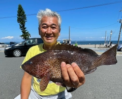 オオモンハタの釣果