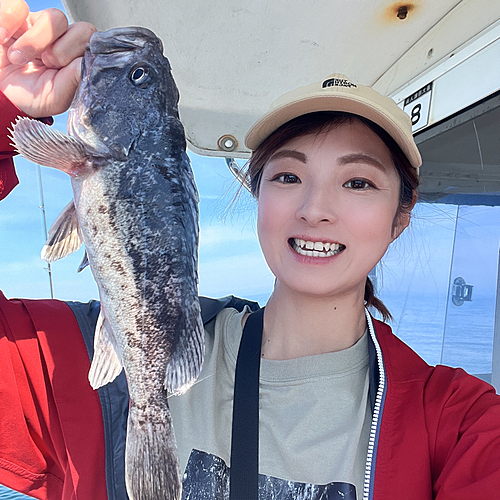 ソイの釣果