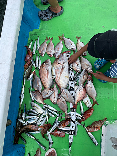 タイの釣果