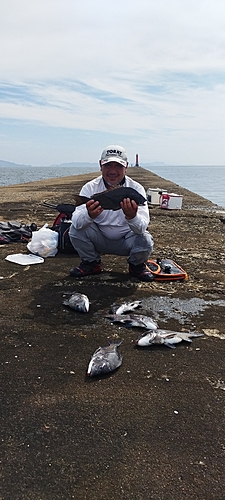 キハダマグロの釣果