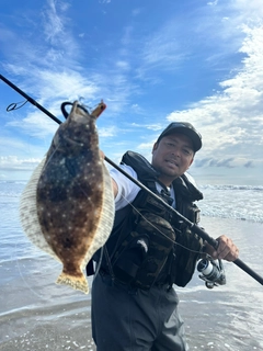 ヒラメの釣果