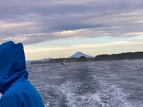 イサキの釣果