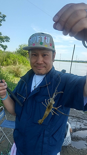 テナガエビの釣果