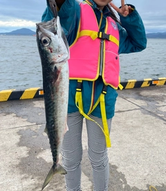 サバの釣果