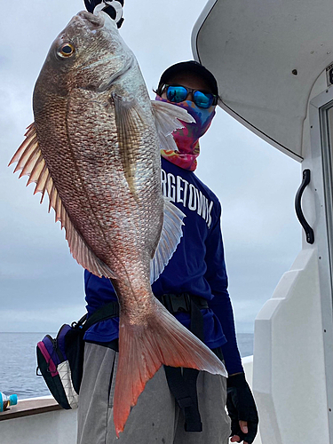 タイの釣果