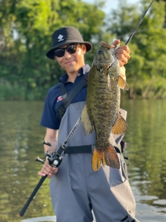 スモールマウスバスの釣果