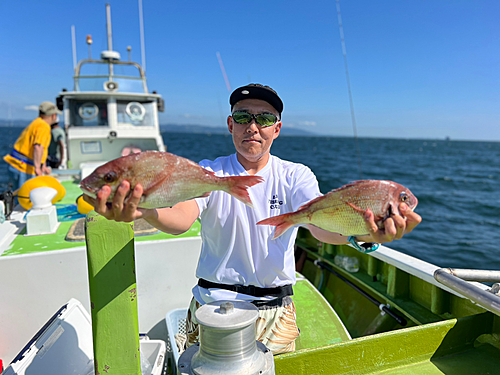 マダイの釣果