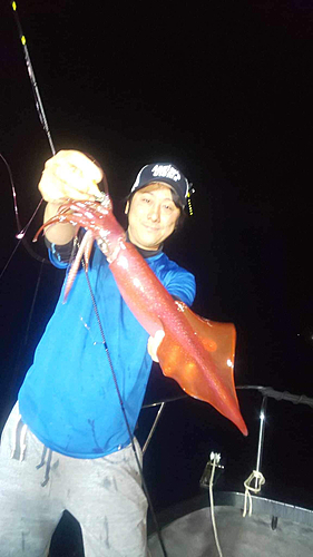 シロイカの釣果