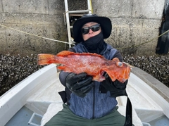 アラカブの釣果