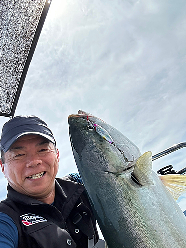 メジロの釣果