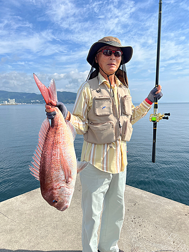 エイの釣果