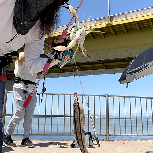 カニの釣果