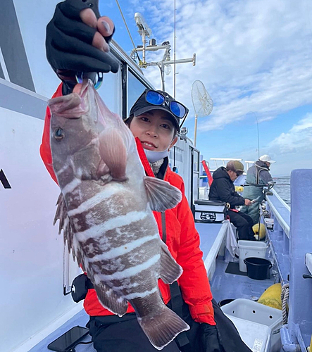 ハタの釣果