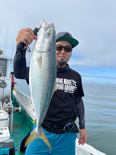 ヤズの釣果