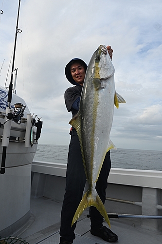 ヒラマサの釣果