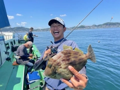 カワハギの釣果