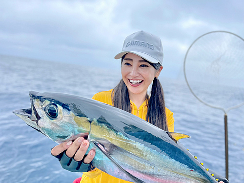 キハダマグロの釣果