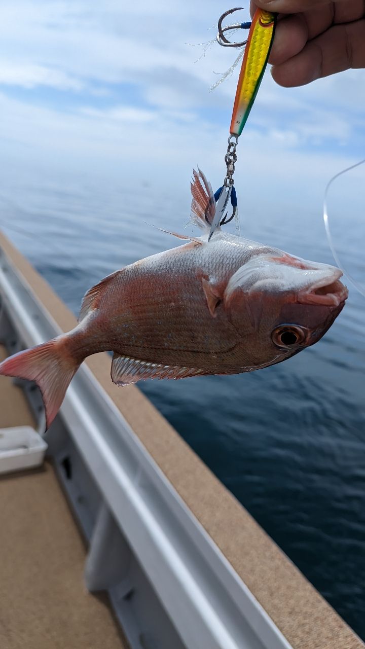 🎣みやもん🎣さんの釣果 3枚目の画像