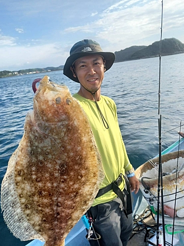 ヒラメの釣果