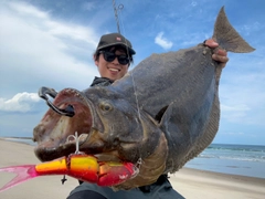 ヒラメの釣果