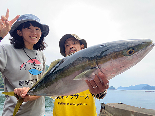 ブリの釣果